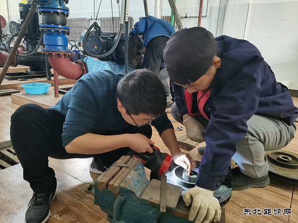 蒲白白水社区：职场“菜鸟”成长记