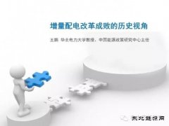 王鹏：配电改革百个试点背后危机四伏