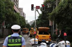 凯供城区分局：政企联手合力啃下树障“硬骨头”助亮剑保安全