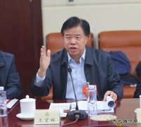 中石油董事长王宜林：努力把世界上性价比最高的气供应给中国老百