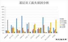 青年员工，怎样才能留住你？——基层青年员工流失原因分析及对策