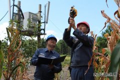 凯供城区分局：高温袭来 采取服务“加减法”应对“夏烤”