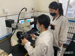 潞安焦化：用“匠心精神”打造“硬品牌”