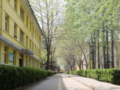 蒲白西固煤业：把“小家碧玉”打扮成“大家闺秀”促煤炭销售