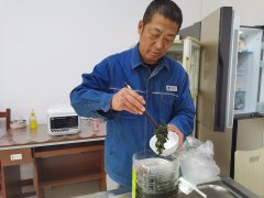 大兴安岭供电公司：电网大叔变身节约达人