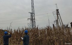 国网大庆供电公司：大同区老百姓用电终于有了“双保险”