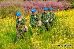 江西婺源：花香“电亮”农家乐