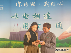 宝泉岭供电分公司：暖心推广“网上国网”APP 提升客户数字化