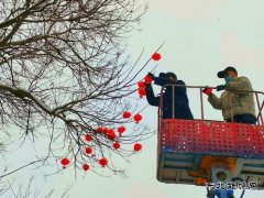 蒲白中心社区：雪打灯笼迎新年 美丽蒲白年味浓