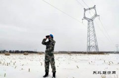 佳木斯电网：以雪为令，对抗风雪保供电