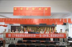 精准帮扶：党建引领乡村振兴
