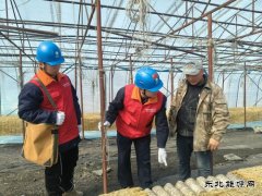 国网牡丹江东宁市供电公司：撑起“安全伞”助力企业“开门红”