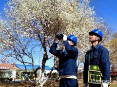 国网敖汉旗供电公司：青山灼灼巡线早 护航春灌保电忙