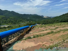 从“生态包袱”到“绿色富矿”，这项治理工程如何唤醒金山？