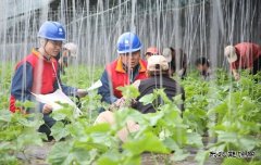 国网阿鲁科尔沁旗供电公司：电力赋能奏响乡村振兴“交响曲”