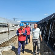 国网牡丹江东宁市供电公司：服务菌农 助力木耳产业用电安全