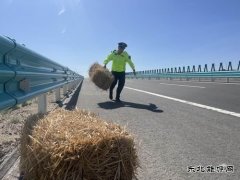 哈巴河执法大队：货物装载切不能“草草了事”